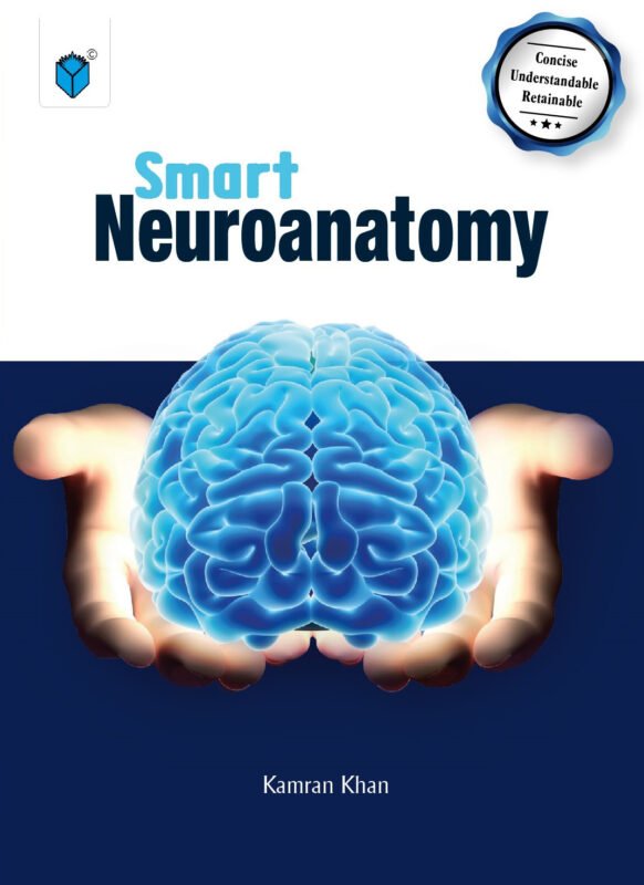 Smart Neuroanatomy AI-dummy